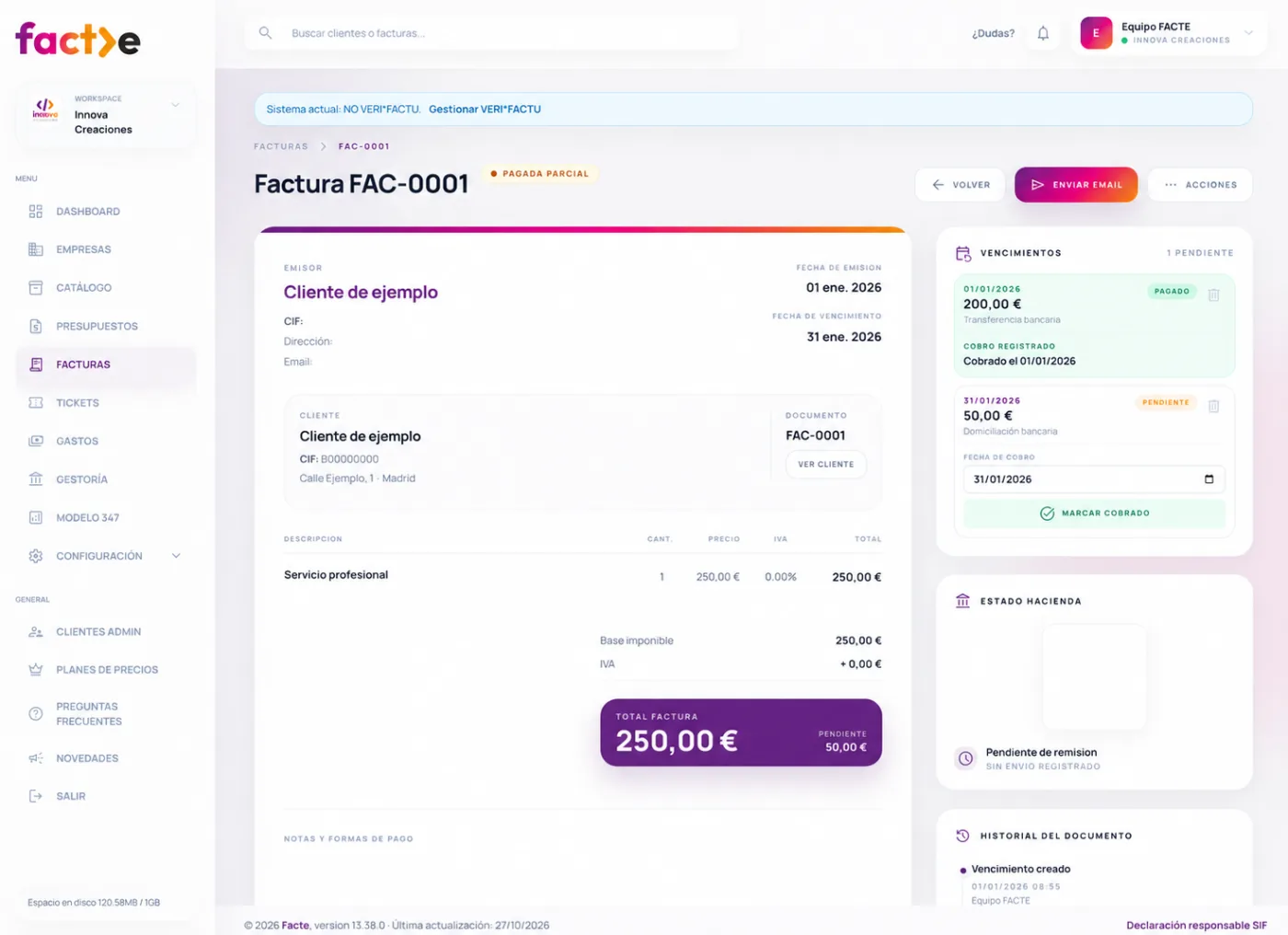 Vista real de edición y consulta de una factura en FACTE